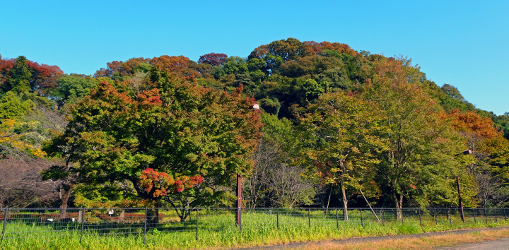 秋色の相模川自然の村