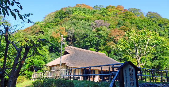 秋色の相模川自然の村